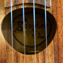 画像をギャラリービューアに読み込む, パップスカスタムス KTS-07 セプターテナー 24050331