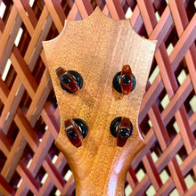 画像をギャラリービューアに読み込む, パップスカスタムス KTS-07 セプターテナー 2409011