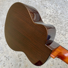 画像をギャラリービューアに読み込む, アヌエヌエ UC200 コンサートウクレレ #AK08321
