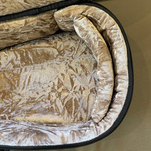 画像をギャラリービューアに読み込む, カニレア KPA T Master テナー ウクレレ マスター コア 0923-27585