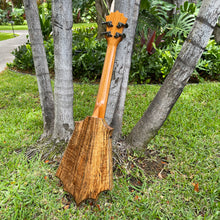 画像をギャラリービューアに読み込む, パップスカスタムス KTS-07 セプターテナー