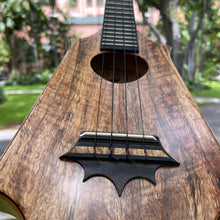 画像をギャラリービューアに読み込む, パップスカスタムス KTS-07 セプターテナー