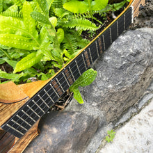 画像をギャラリービューアに読み込む, パップスカスタムス KTS-07 セプターテナー