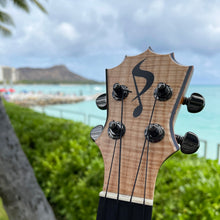 画像をギャラリービューアに読み込む, パップスカスタムス KTS-07 セプターテナー