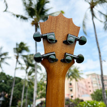 画像をギャラリービューアに読み込む, パップスカスタムス KTS-07 セプターテナー