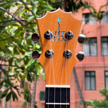 画像をギャラリービューアに読み込む, コアロハ KTM-00MG テナーウクレレ マンゴー