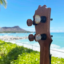 画像をギャラリービューアに読み込む, パップスカスタムス KPSM-03 パイナップルサンデーコンサート