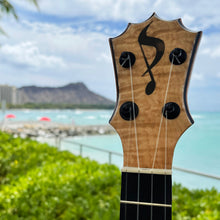 画像をギャラリービューアに読み込む, パップスカスタムス KPSM-03 パイナップルサンデーコンサート