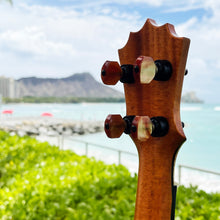 画像をギャラリービューアに読み込む, パップスカスタムス KPSM-03 パイナップルサンデーコンサート