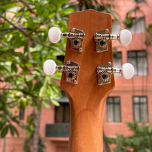 画像をギャラリービューアに読み込む, マイレレイ GCEA SKP-CAT ソプラノパイナップルウクレレ CAT