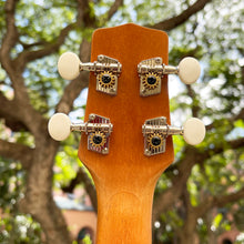 画像をギャラリービューアに読み込む, マイレレイ TK-2 テナーウクレレ