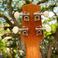 画像をギャラリービューアに読み込む, マイレレイ TK-2 テナーウクレレ