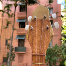 画像をギャラリービューアに読み込む, アソヌ タヒチアンウクレレ 4弦 シーシェル