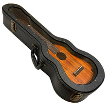 画像をギャラリービューアに読み込む, レオラニ HC-24C コンサート ホイケ ハードケース