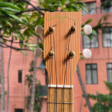 画像をギャラリービューアに読み込む, ゼファー CK-Sugi コンサートウクレレ ベルシェイプ 杉