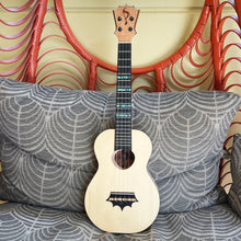 画像をギャラリービューアに読み込む, パップスカスタムス PCST テナーウクレレ