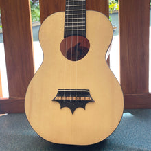 画像をギャラリービューアに読み込む, パップスカスタムス PCST テナーウクレレ