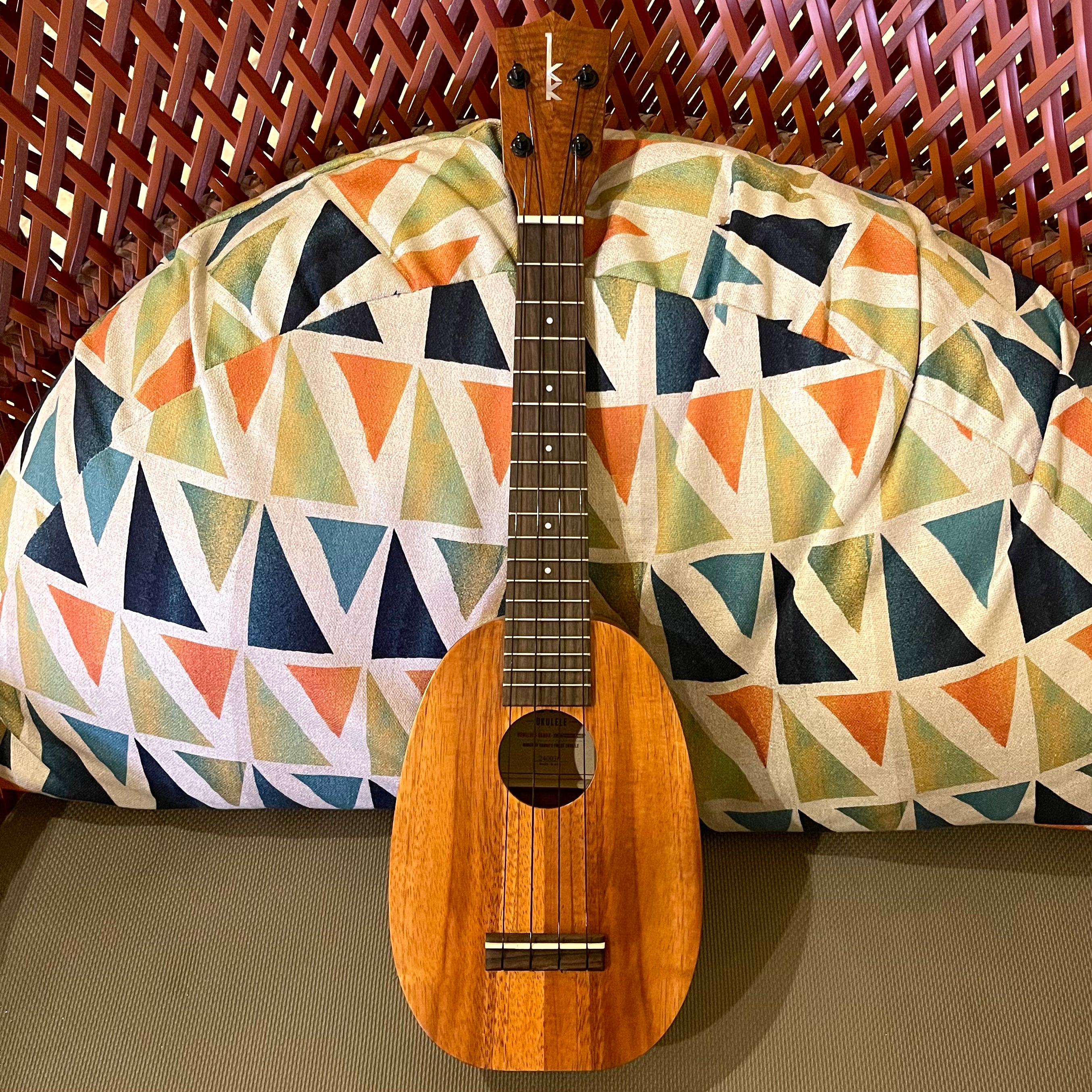 カマカ HP-1L ソプラノ パイナップル ロングネック ウクレレ #240036 – Ukulele Puapua