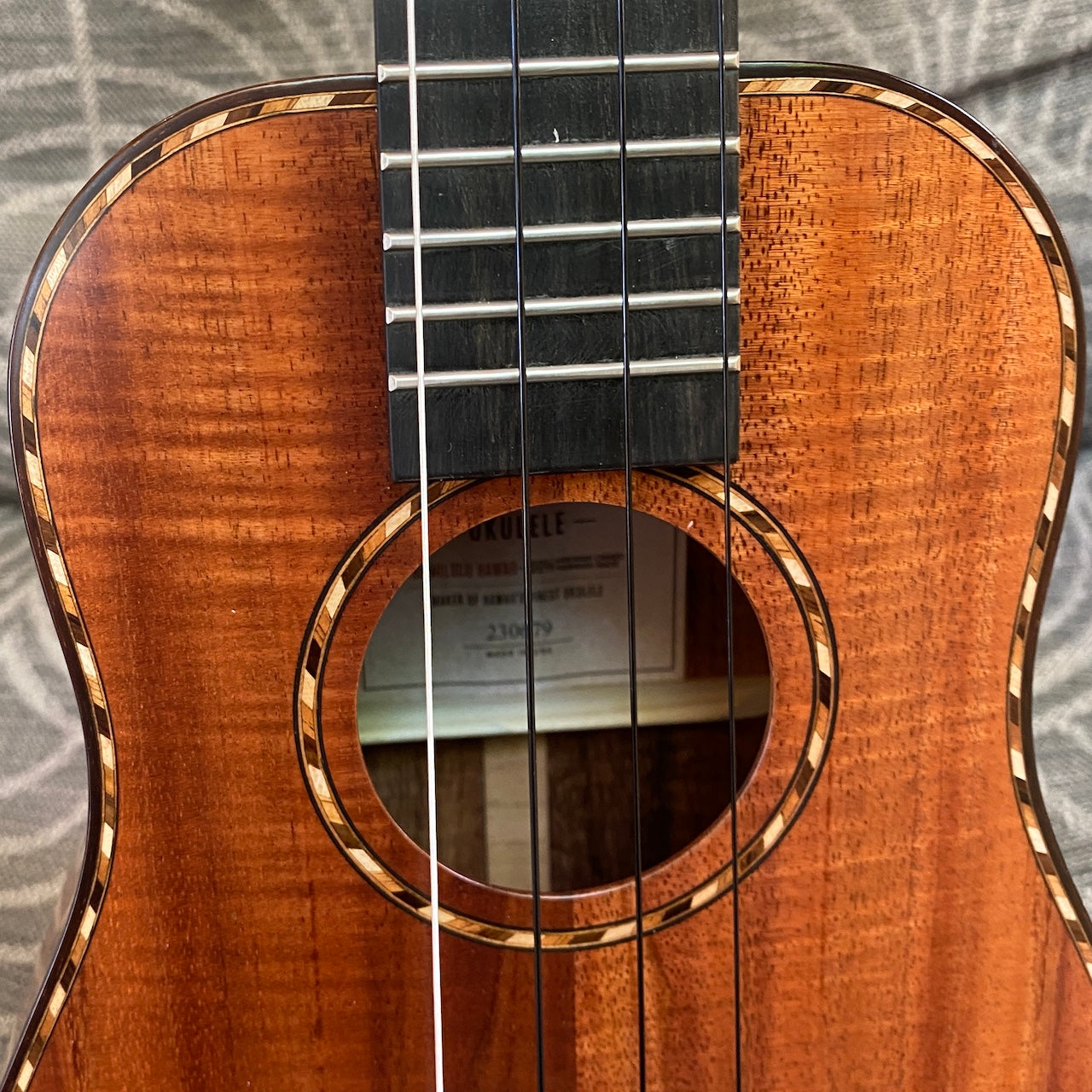 カマカ HB-2D コンサートウクレレ ベルシェイプ デラックス 230679 – Ukulele Puapua